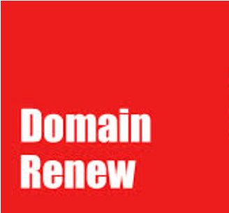 Domain name renewal